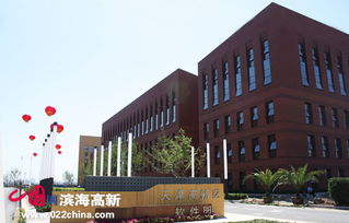 軟件企業337家領跑市場，濱海新區引領全市軟件外包服務新篇章